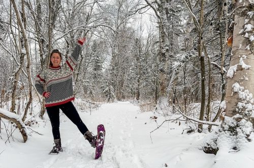 minnesota ice skating snowshoes cross-country skiing twin cities